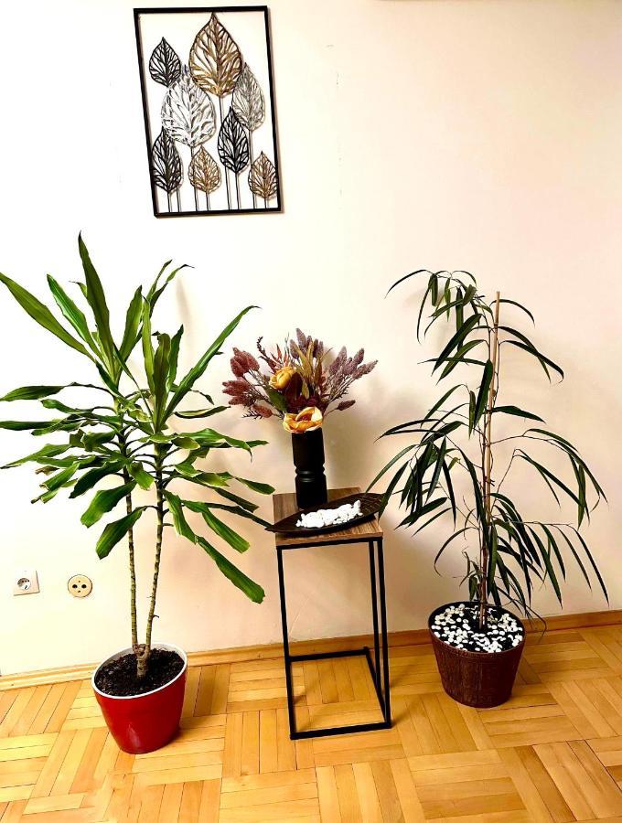 Vintage Bucharest Apartment Εξωτερικό φωτογραφία